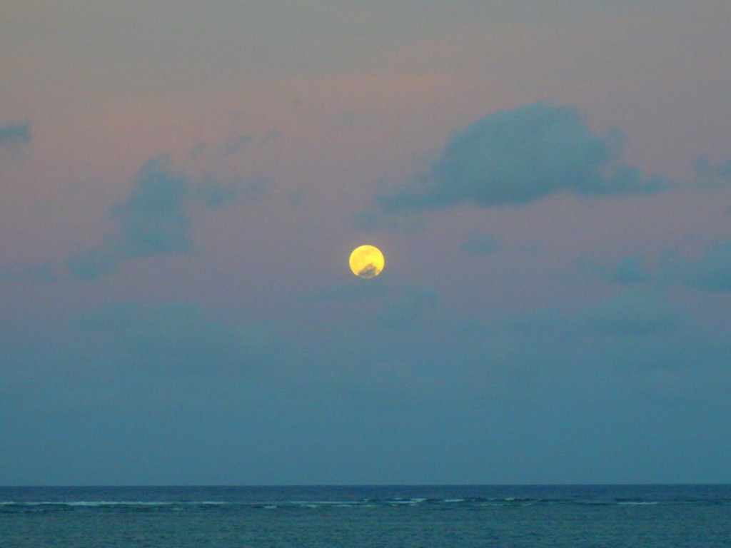 夏至が近いときにだけ見られる赤い満月「ストロベリームーン」と呼ばれているそうです。