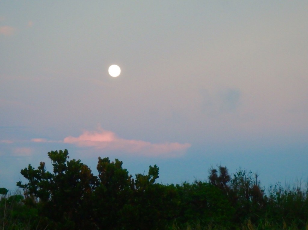 月と夕焼け 明日は満月