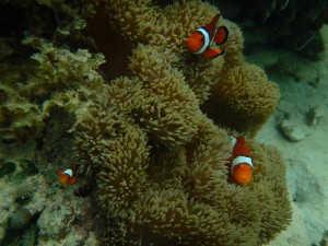 右下お母さん表情がいつもいい！