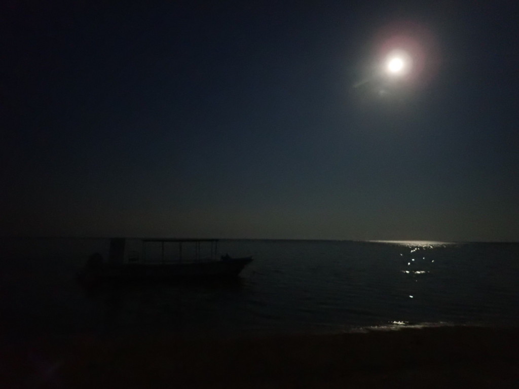 夜の白保海岸