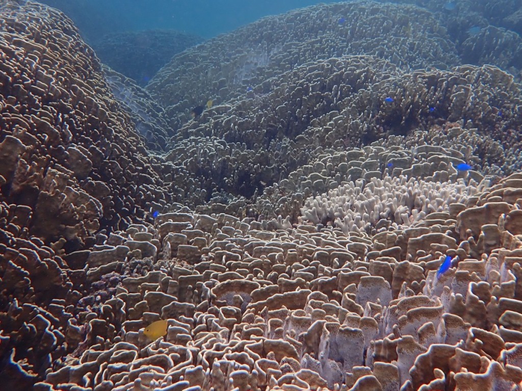 5D05602D-0E19-418D-AC44-2935B77CD64C