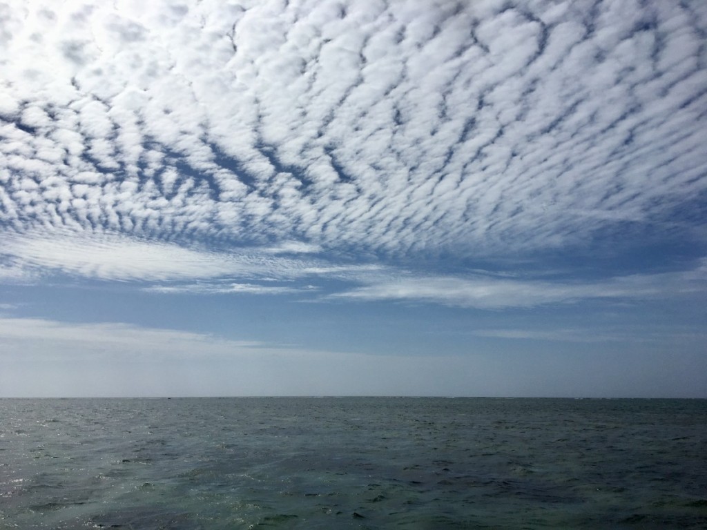 BBD59922-8D0C-4D2E-BDB4-346A09F4C9ED