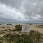 毎月1日ビーチクリーン