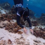 赤土堆積量調査